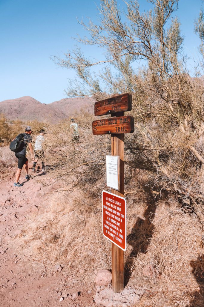 Hieroglyphic Trail: One of the best family hikes in Phoenix Arizona | Simply Wander #hieroglyphictrail #phoenix #arizona #simplywander