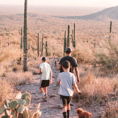 Hieroglyphic Trail: One of the best family hikes in Phoenix Arizona | Simply Wander #hieroglyphictrail #phoenix #arizona #simplywander