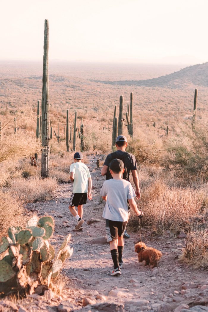 Hieroglyphic Trail: One of the best family hikes in Phoenix Arizona