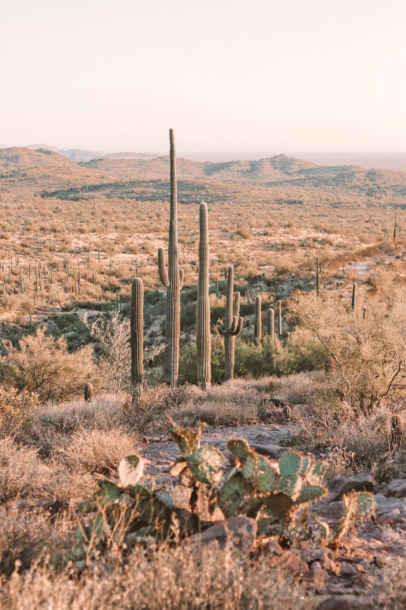 Hieroglyphic Trail: Best family hike in Phoenix | Simply Wander