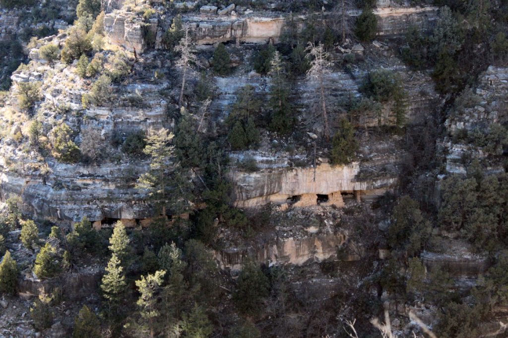 5 of the most accessible Indian Ruins in Arizona | Walnut Canyon National Monument #simplywander #indianruins #walnutcanyon