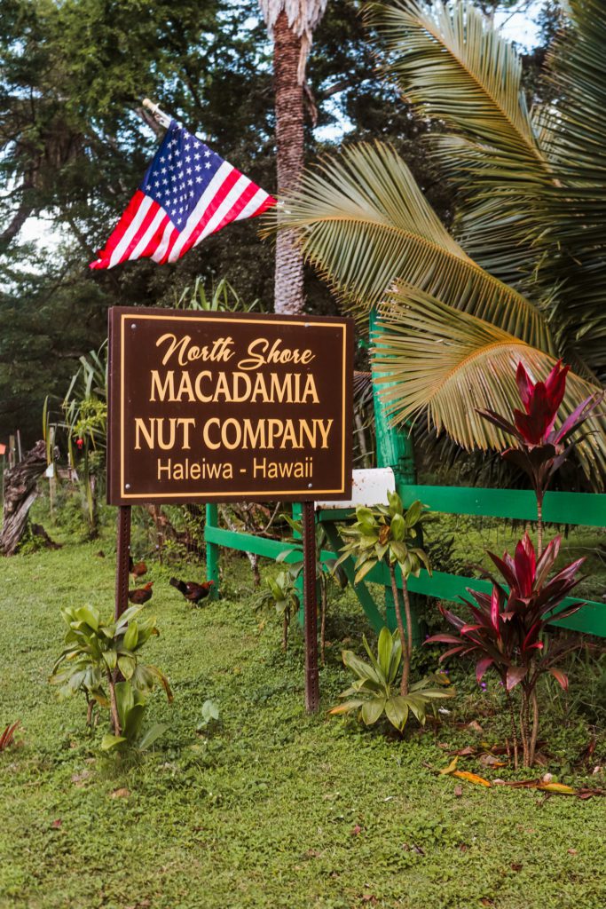 7 Bucket List Things to do in Haleiwa Hawai | Macadamia Nut Company #simplywander #haleiwa #hawaii #oahu #macadamianutcompany