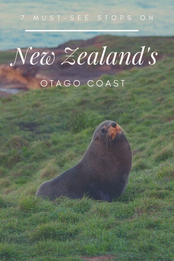 7 Must-See Stops Along New Zealand's Otago Coast | Simply Wander #simplywander #otagocoast #newzealand