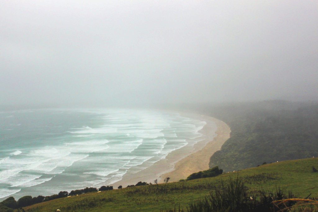 7 Must-See Stops Along New Zealand's Otago Coast | Dunedin #simplywander #dunedin #otagocoast #newzealand