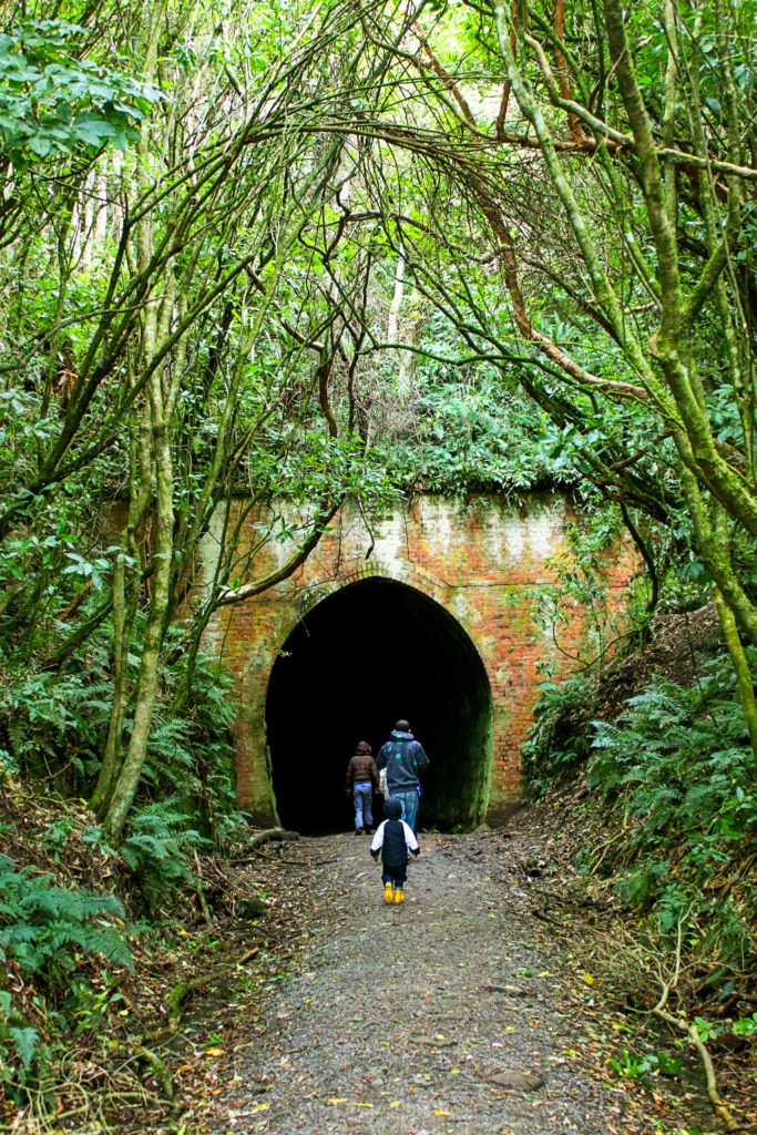 7 Must-See Stops Along New Zealand's Otago Coast | Tunnel Hill #simplywander #otagocoast #newzealand #tunnelhill