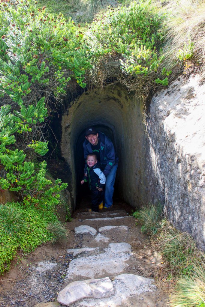 7 Must-See Stops Along New Zealand's Otago Coast | Tunnel Beach #simplywander #otagocoast #newzealand #tunnelbeach