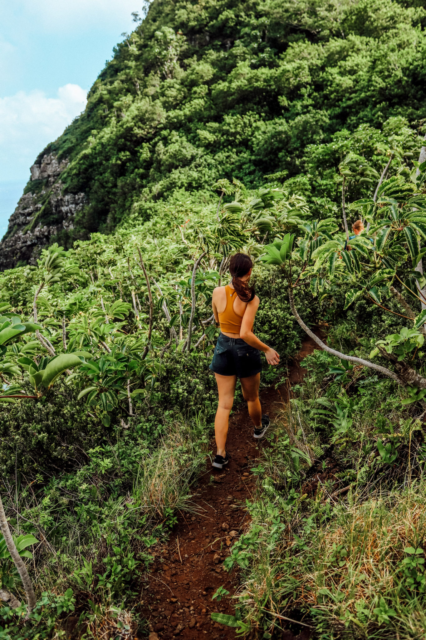 Crouching Lion Trail: The Most Underrated Hike in Oahu | Simply Wander