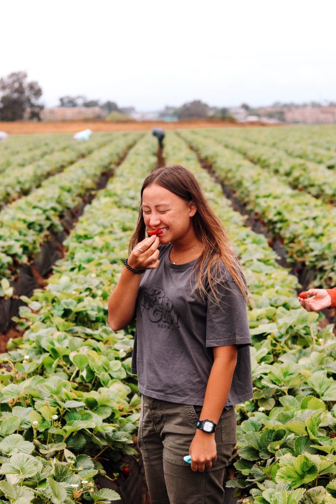 6 Stops on a Pacific Coast Highway Road Trip from Oceanside to San Diego | Carlsbad Strawberry Fields #simplywander #california #pacificcoasthighway #carlsbadstrawberryfields