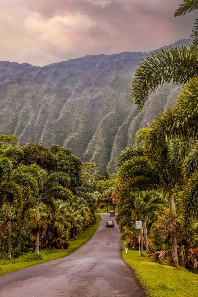 9 Secret Spots in Oahu Hawaii | Ho'omaluhia Botanical Gardens #simplywander #hoomaluhiabotanicalgardens #oahu #hawaii