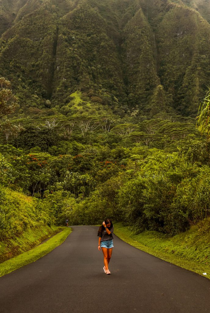 9 Secret Spots in Oahu Hawaii | Ho'omaluhia Botanical Gardens #simplywander #hoomaluhiabotanicalgardens #oahu #hawaii