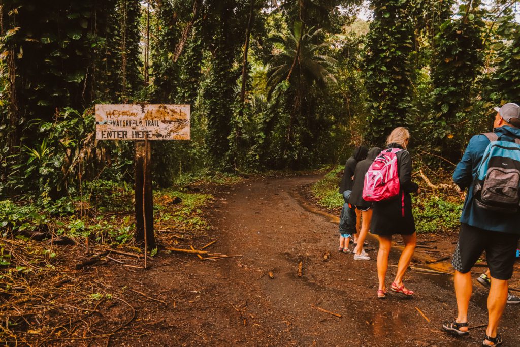Maunawili Falls Trail: One of the best waterfall hikes in Oahu | Simply Wander #oahu #hawaii #maunawilifalls #simplywander