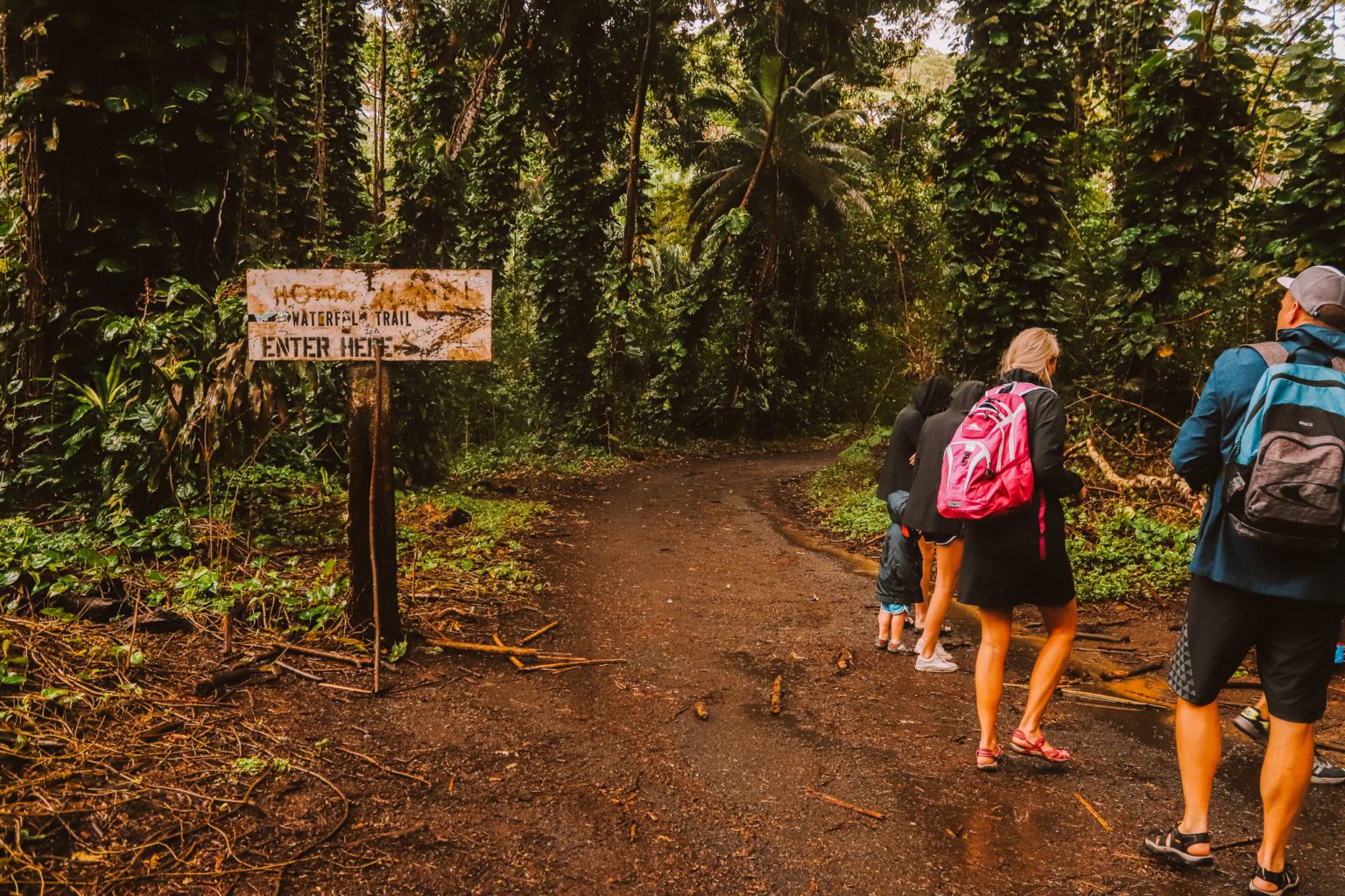 Maunawili Falls Trail: The Best Waterfall Hike in Oahu | Simply Wander