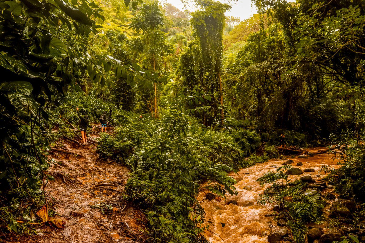 Maunawili Falls Trail: The Best Waterfall Hike in Oahu | Simply Wander