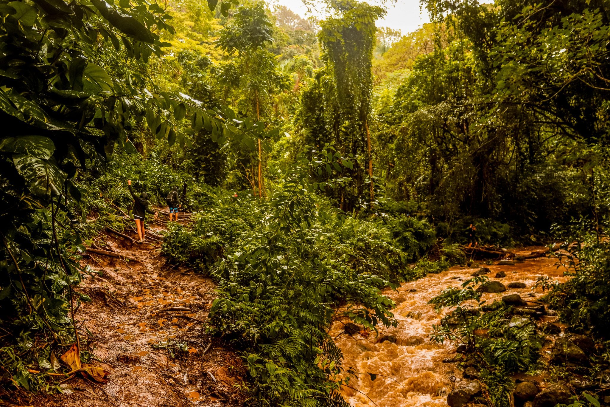 Maunawili Falls Trail: The Best Waterfall Hike in Oahu | Simply Wander