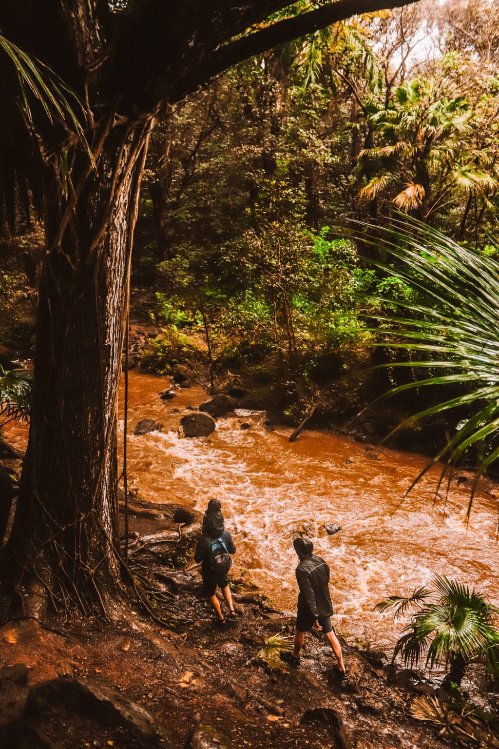 Maunawili Falls Trail: The Best Waterfall Hike in Oahu | Simply Wander