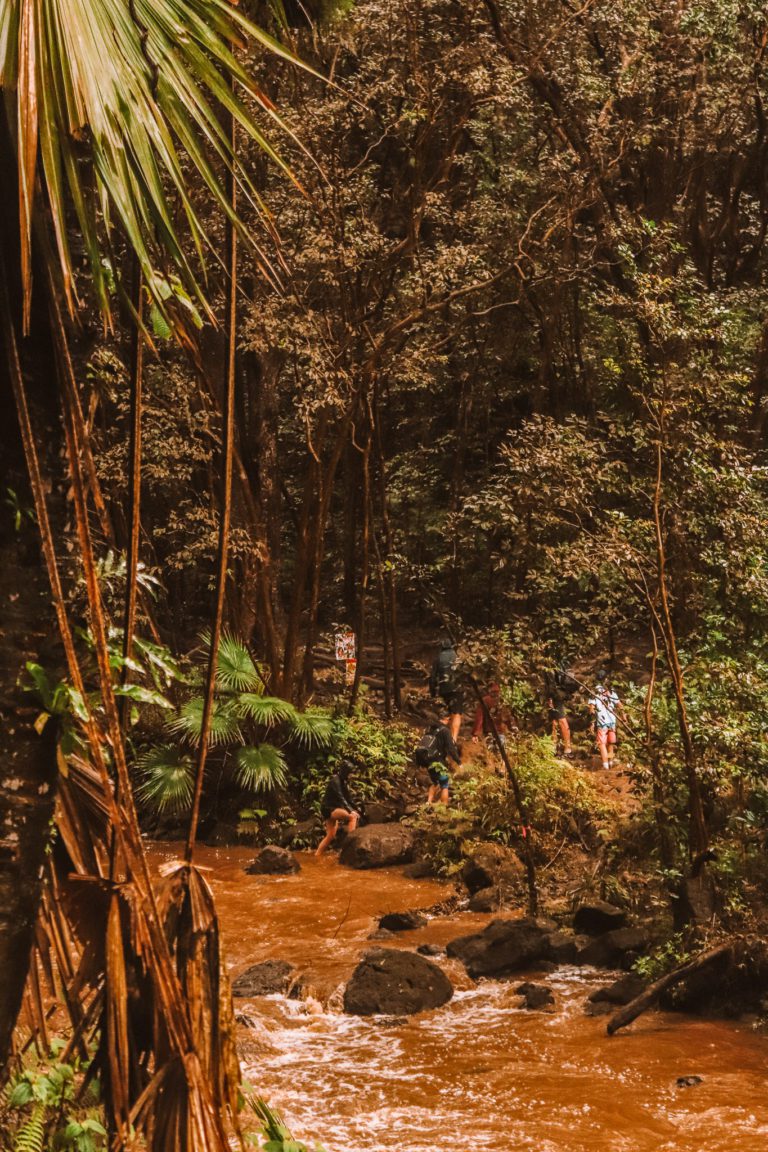 Maunawili Falls Trail: The Best Waterfall Hike in Oahu | Simply Wander