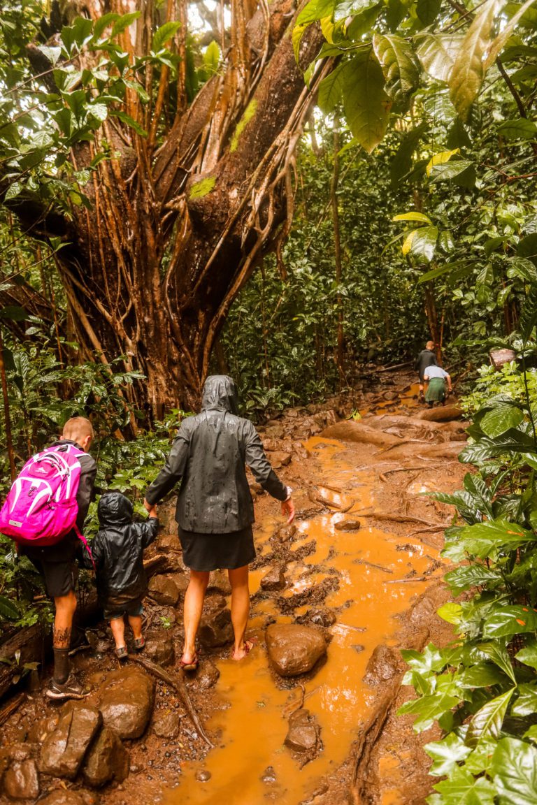 Maunawili Falls Trail: The Best Waterfall Hike in Oahu | Simply Wander