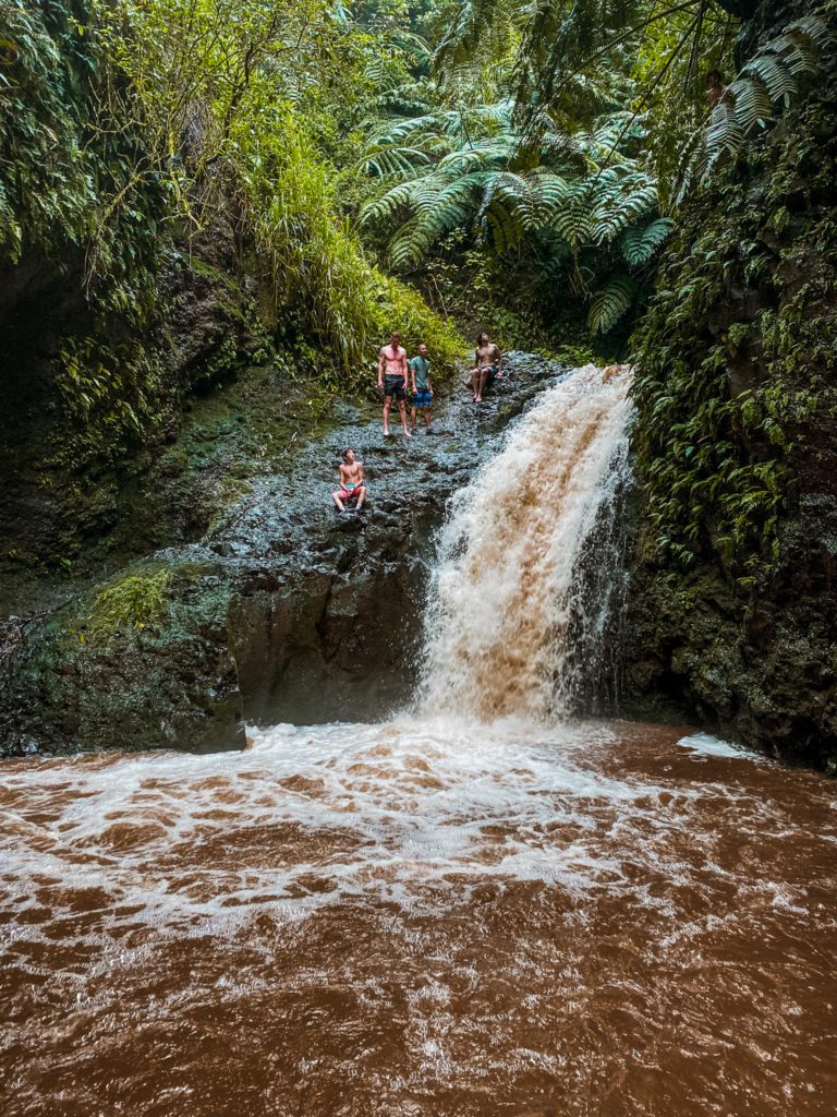 8 of the Best Hikes on Oahu | Maunawili Falls Trail  #simplywander