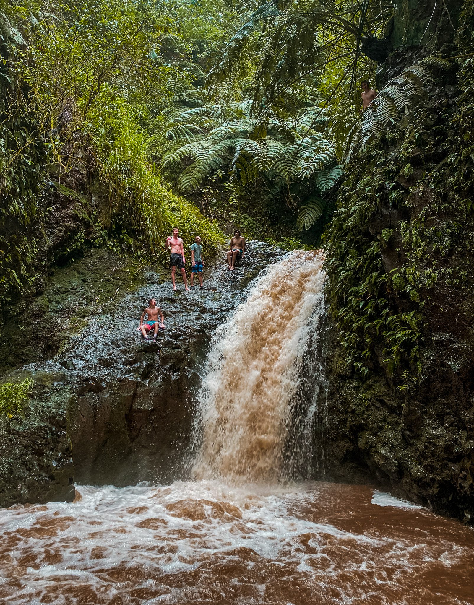 Maunawili Falls Trail: The Best Waterfall Hike in Oahu | Simply Wander