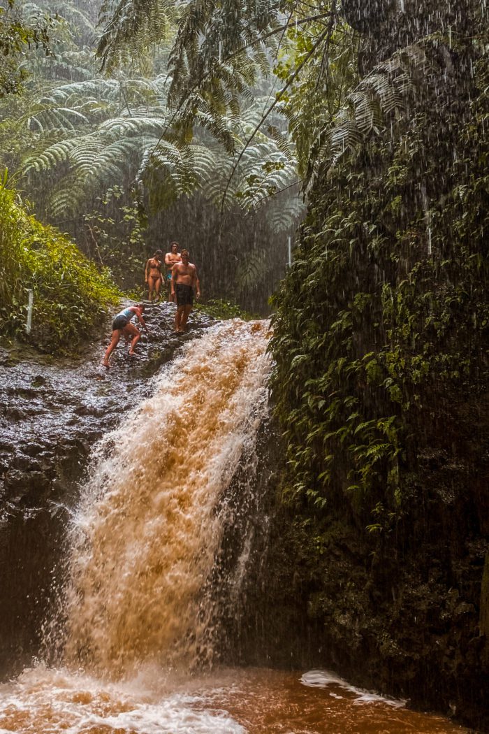 Maunawili Falls Trail: The Best Waterfall Hike in Oahu