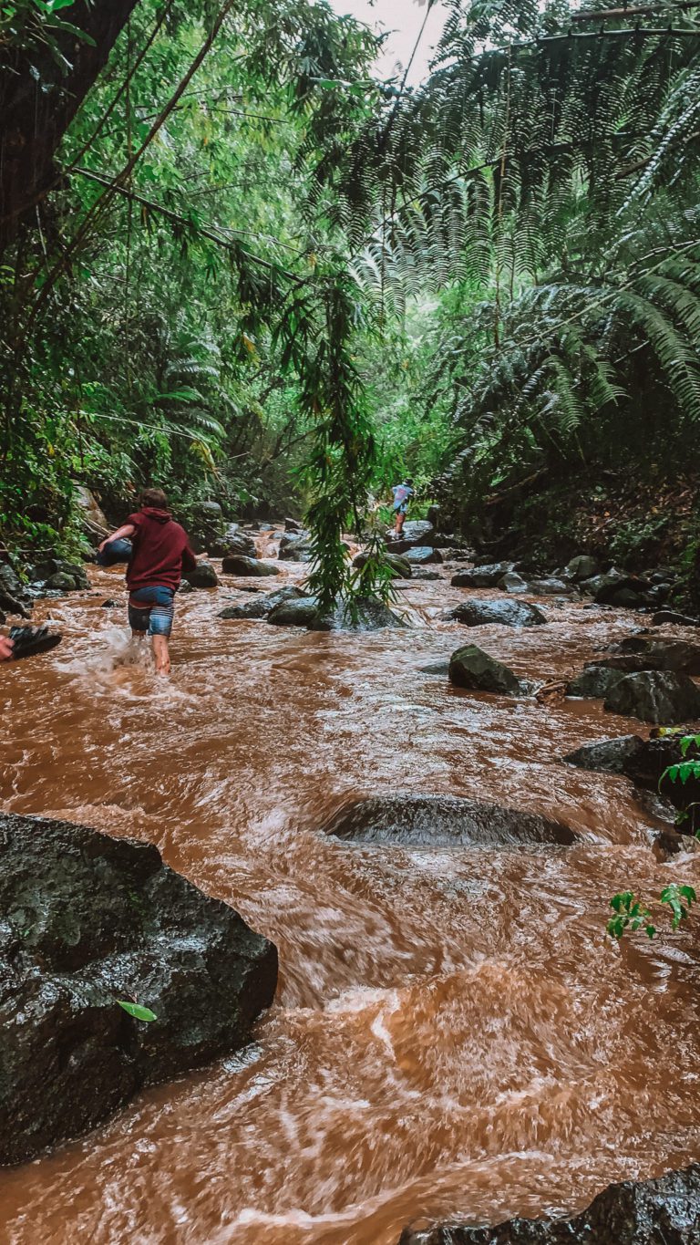 Maunawili Falls Trail: The Best Waterfall Hike in Oahu | Simply Wander