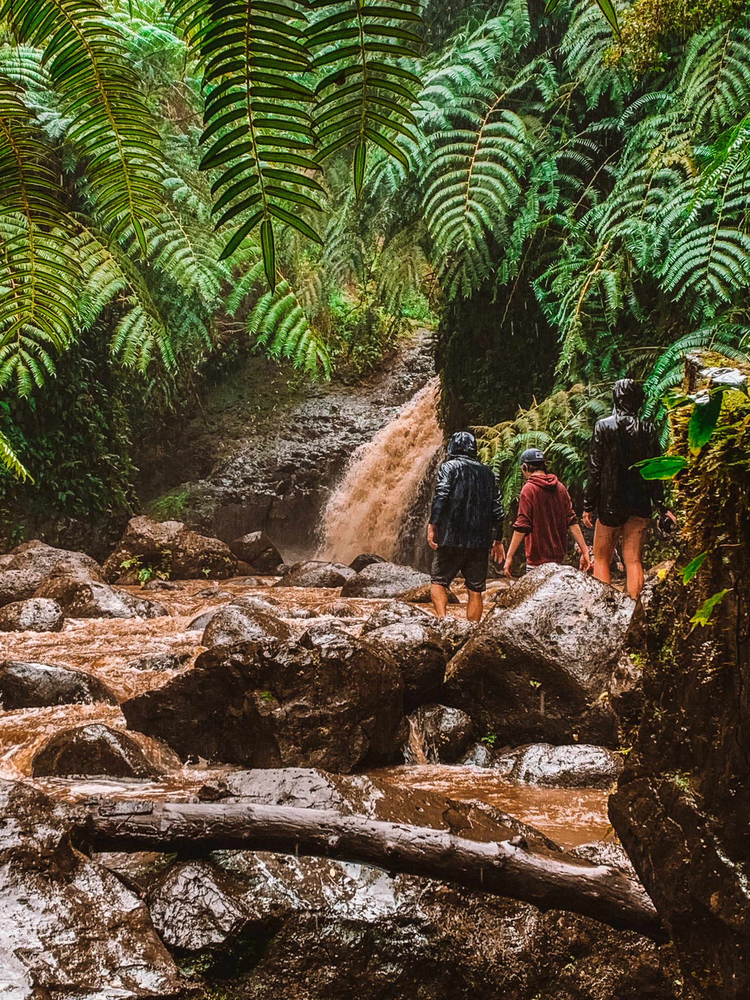 Maunawili Falls Trail: The Best Waterfall Hike in Oahu | Simply Wander