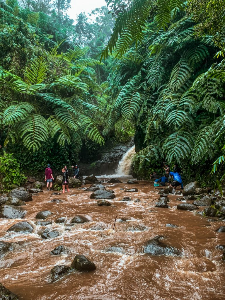 8 of the Best Hikes on Oahu | Maunawili Falls Trail  #simplywander