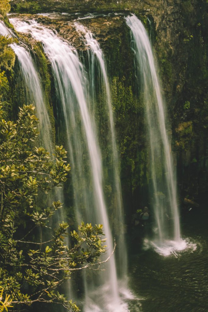 9 Incredible places to visit in Northland New Zealand | Whangarei Falls #simplywander #northland #newzealand #whangareifalls