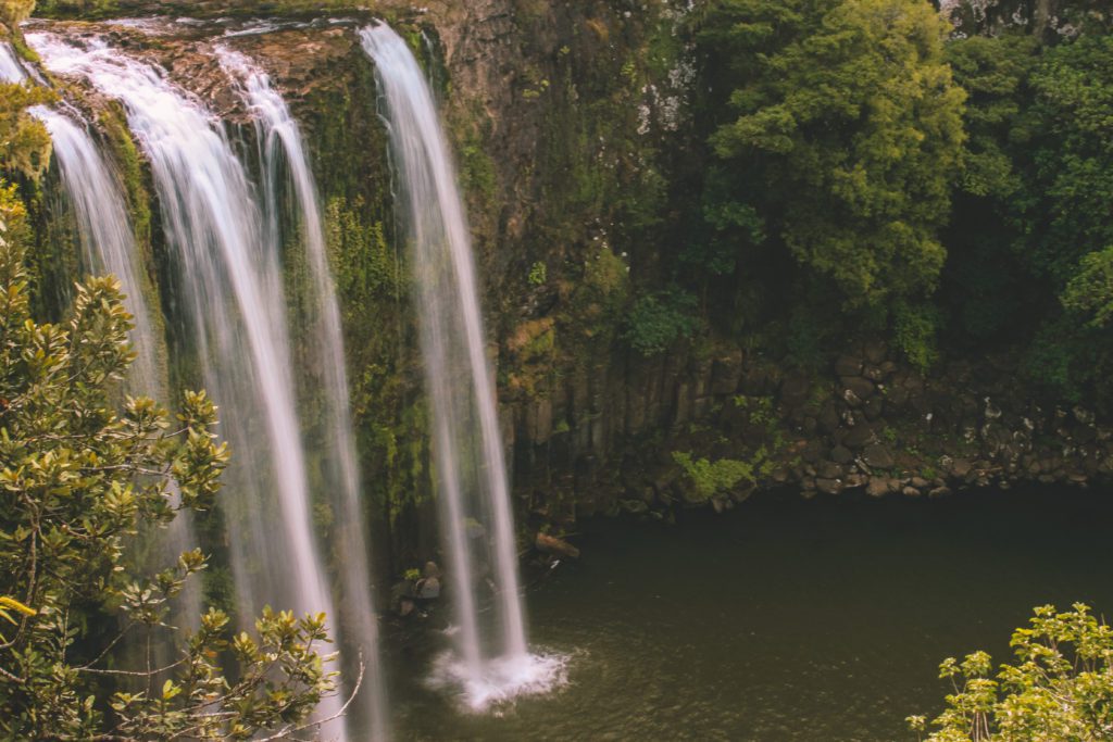 9 Incredible places to visit in Northland New Zealand | Whangarei Falls #simplywander #northland #newzealand #whangareifalls