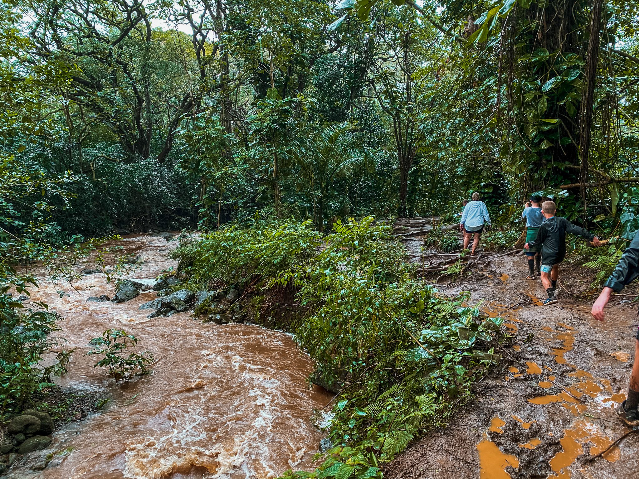 Maunawili Falls Trail: The Best Waterfall Hike in Oahu | Simply Wander