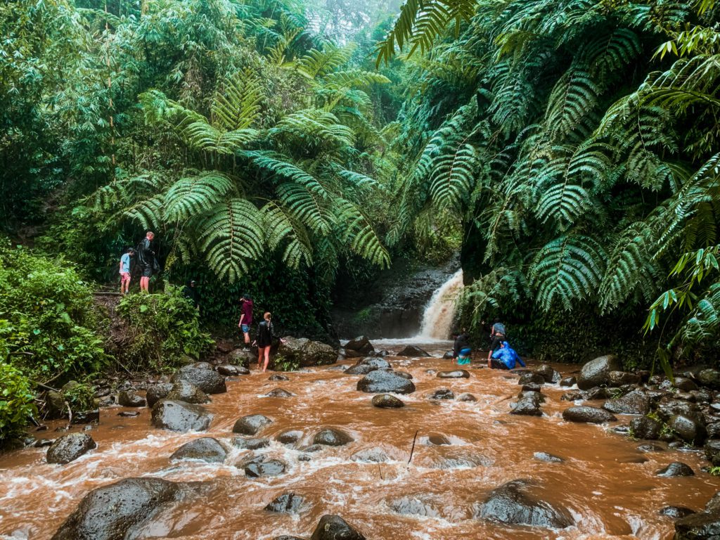 Maunawili Falls Trail: One of the best waterfall hikes in Oahu | Simply Wander #oahu #hawaii #maunawilifalls #simplywander