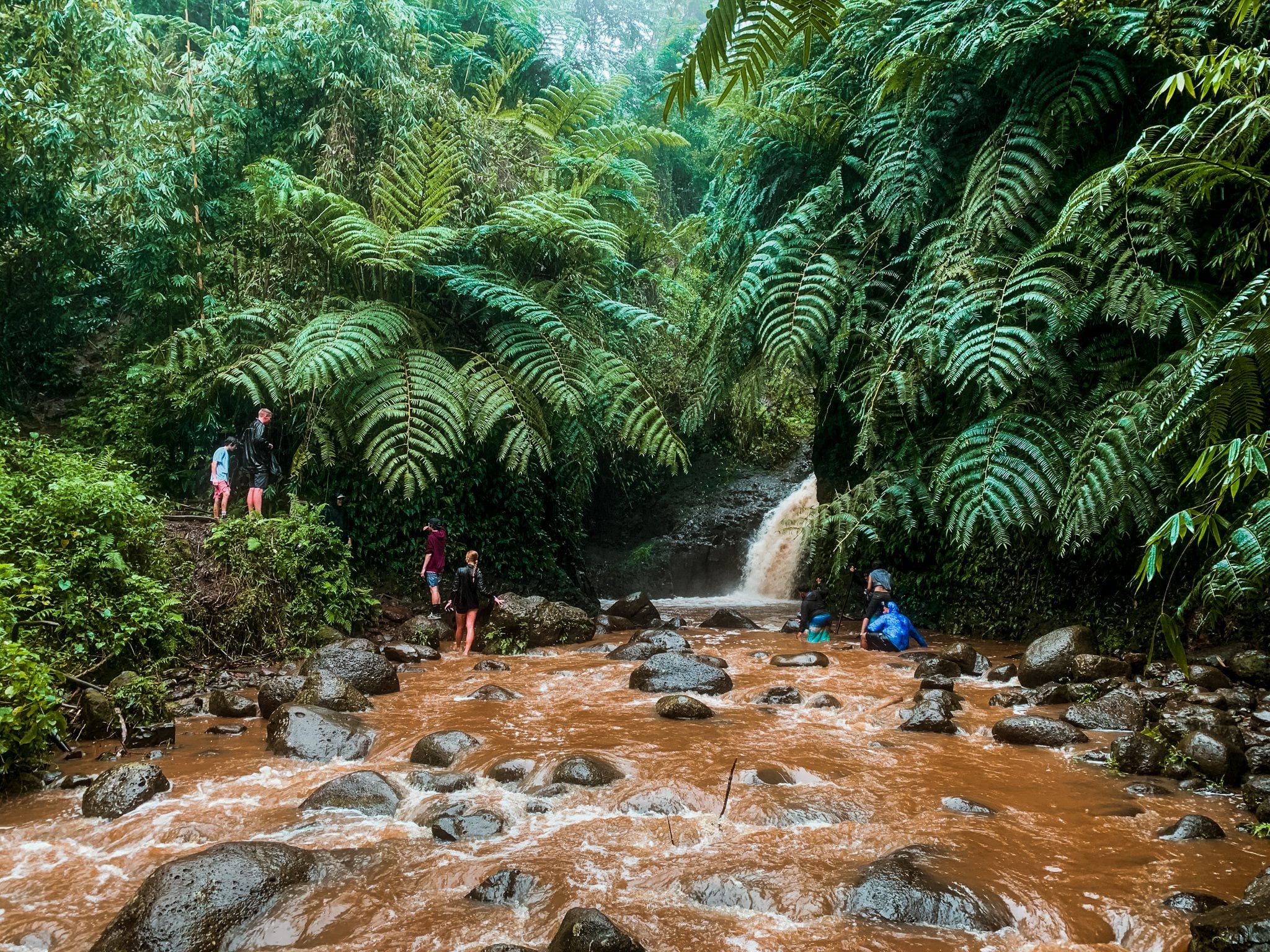 Maunawili Falls Trail: The Best Waterfall Hike in Oahu | Simply Wander