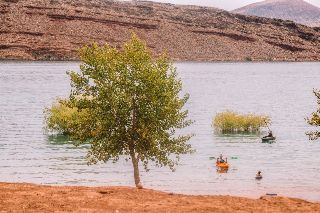 4 Epic Things to do in St George in the Summer | Quail Creek State Park #simplywander #stgeorge #utah #quailcreek