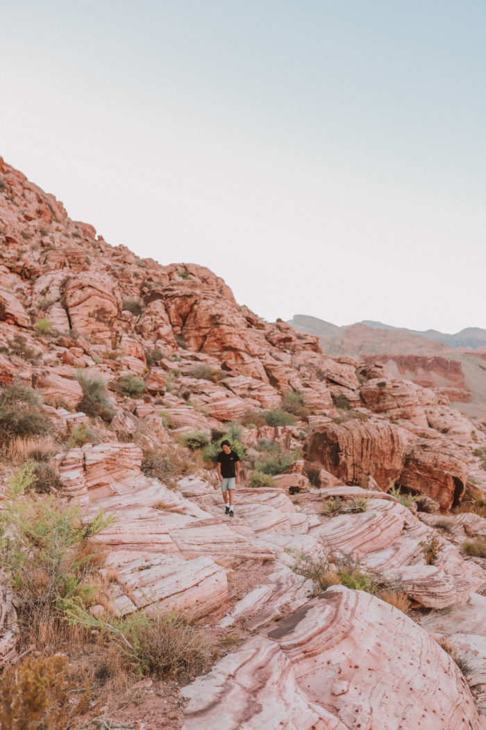 Best things to do in Red Rock Canyon: A Las Vegas Hidden Gem