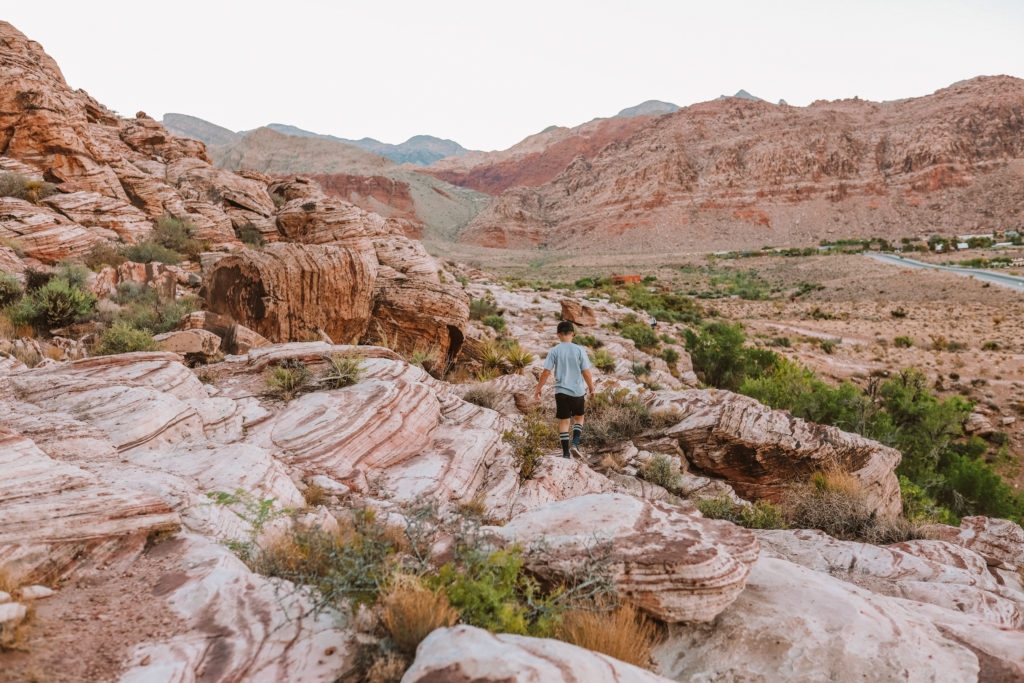 Red Rock Canyon: A Las Vegas Hidden Gem | Red Spring Picnic Area Calico Basin #simplywander #redrockcanyon #lasvegas #redspring #calicobasin