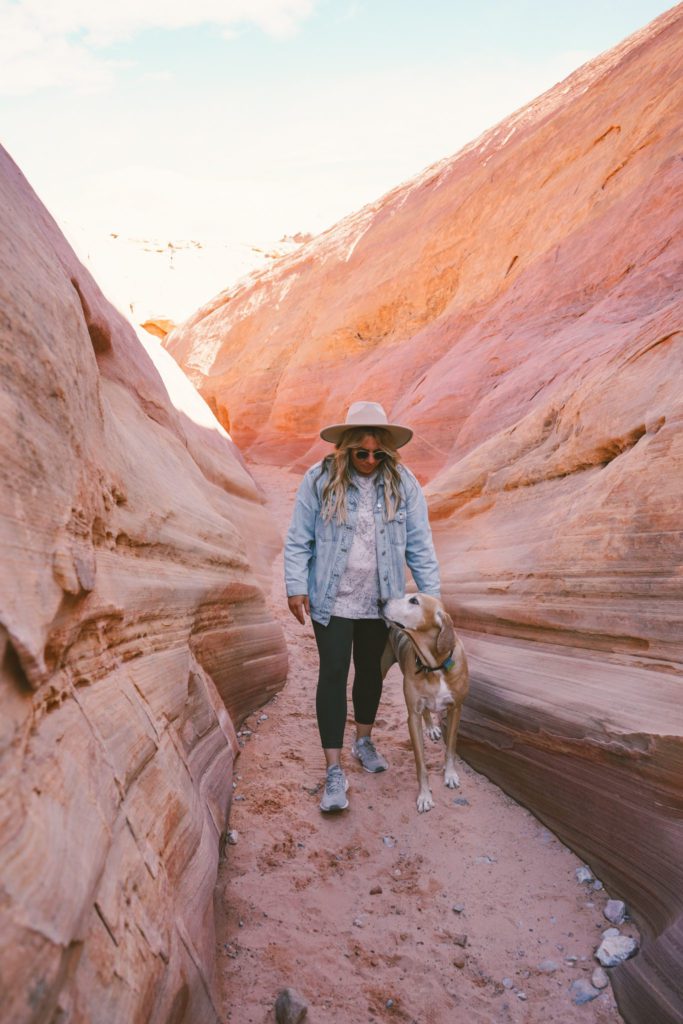 Valley of Fire Travel Guide | Pink Canyon #simplywander
