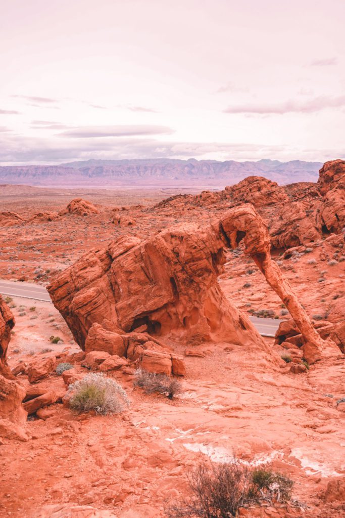 Valley of Fire Travel Guide | Elephant Rock #simplywander