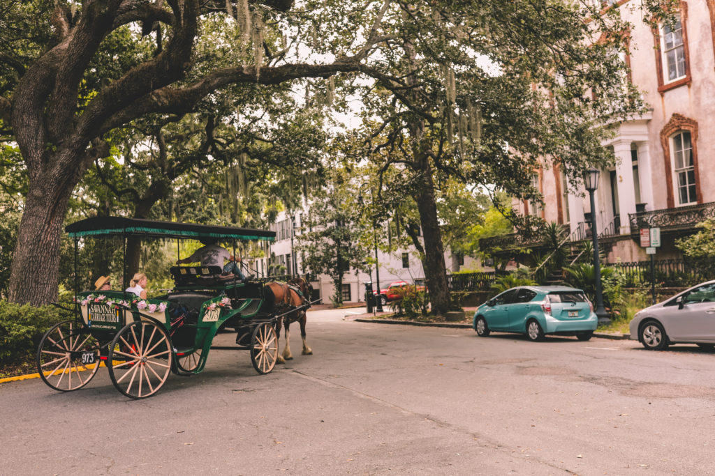 12 Fun Things to do in Savannah for an Unforgettable Girls Trip | Carriage Tour #savannah #georgia #simplywander #carriagetour