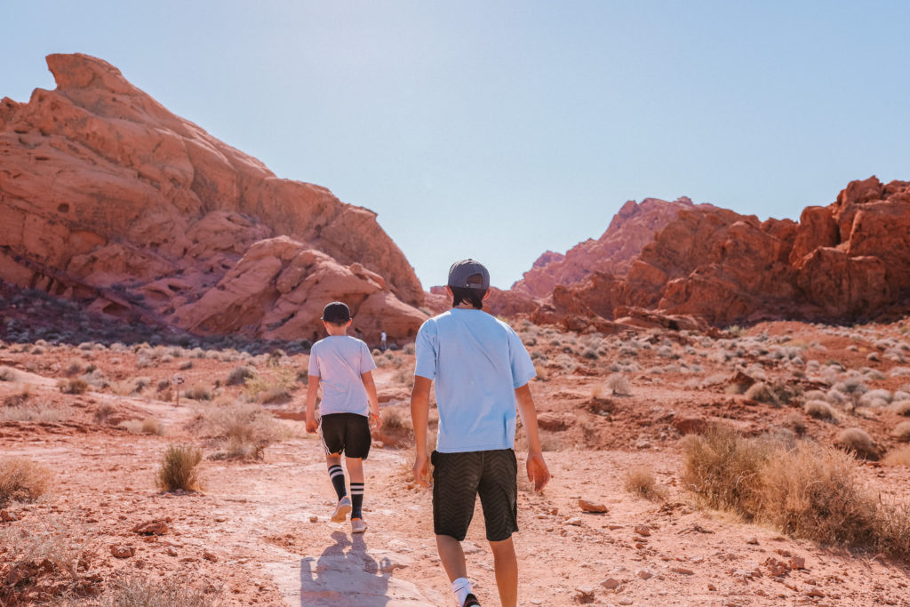 Valley of Fire State Park Nevada Travel Guide | Elephant Rock #simplywander #valleyoffire #nevada #elephantrock