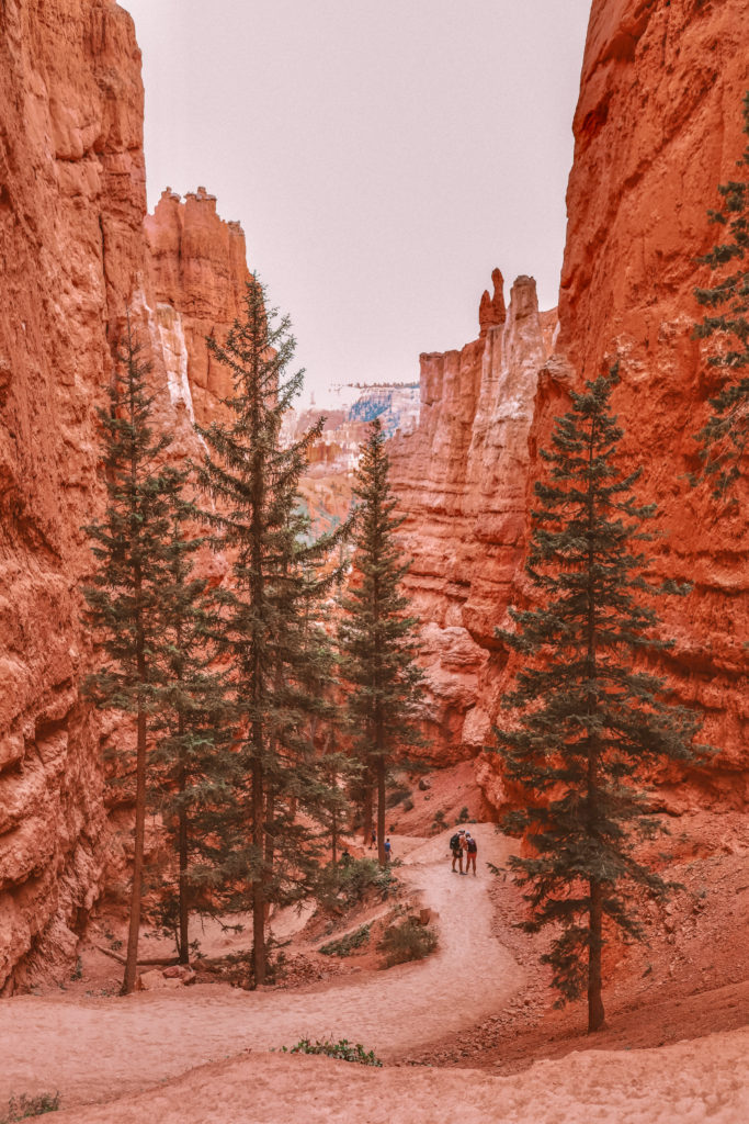 How To Spend One Day At Bryce Canyon National Park Utah | Navajo Loop Trail #brycecanyon #utah #simplywander #navajoloop