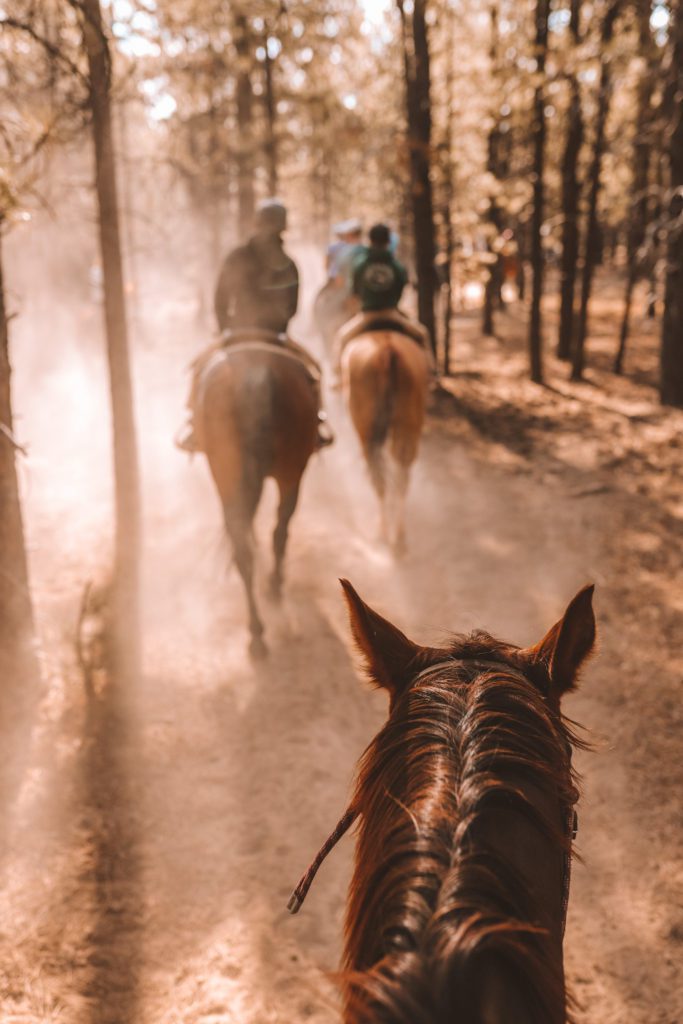 How To Spend One Day At Bryce Canyon National Park Utah | Bryce Canyon horseback trail ride #brycecanyon #utah #simplywander #horsebackride