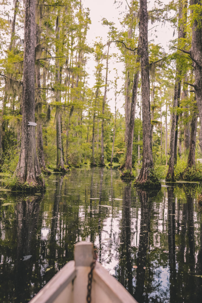 Best things to do in Charleston SC for a girl's weekend | Rowboat through the swamp at Cypress Gardens #simplywander #charleston #southcarolina #cypressgardens