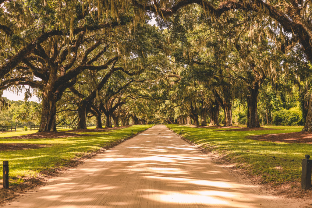 Best things to do in Charleston SC for a girl's weekend | Tour Boone Hall Plantation #simplywander #charleston #southcarolina #boonehall