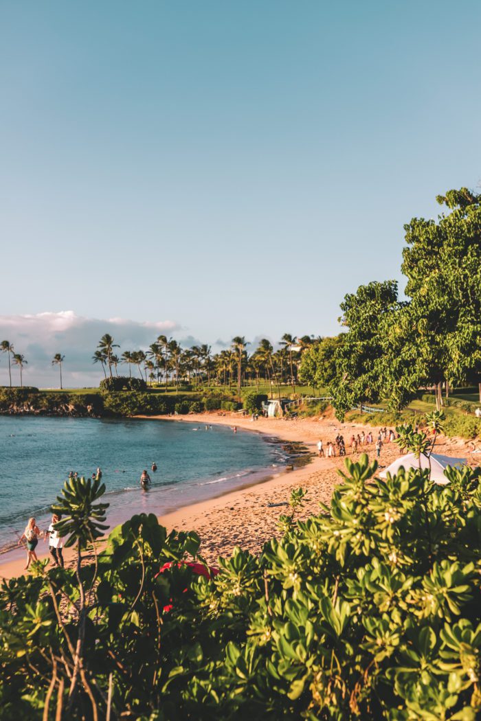 Best Beaches in Maui Hawaii
