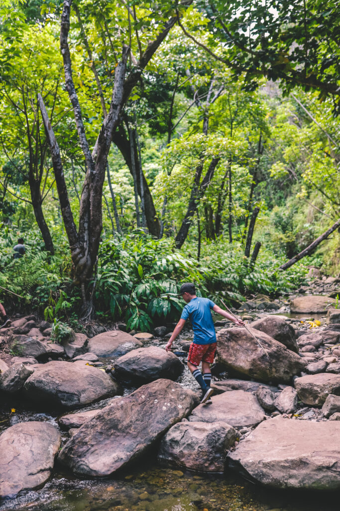 Tips for Hiking Makamakaole Falls in Maui | Simply Wander