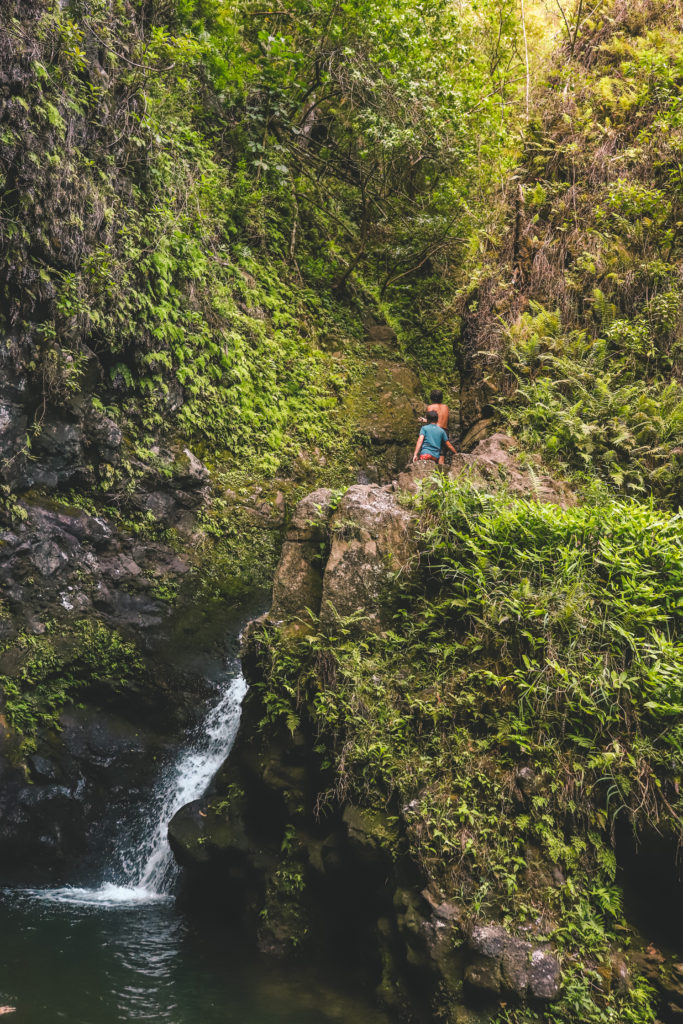 Makamakaole Falls: A Maui Hidden Gem | Tips for hiking the Makamakaole Stream Trail #simplywander #maui #hawaii #makamakaole