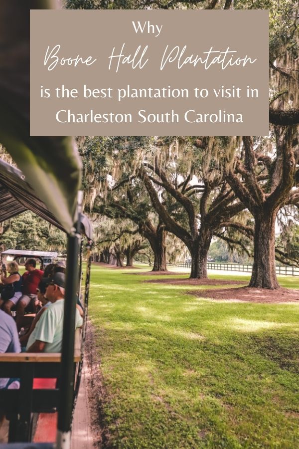 Why Boone Hall Plantation is a Must-See in Charleston South Carolina | Avenue of the Oaks #boonehall #charleston #southcarolina