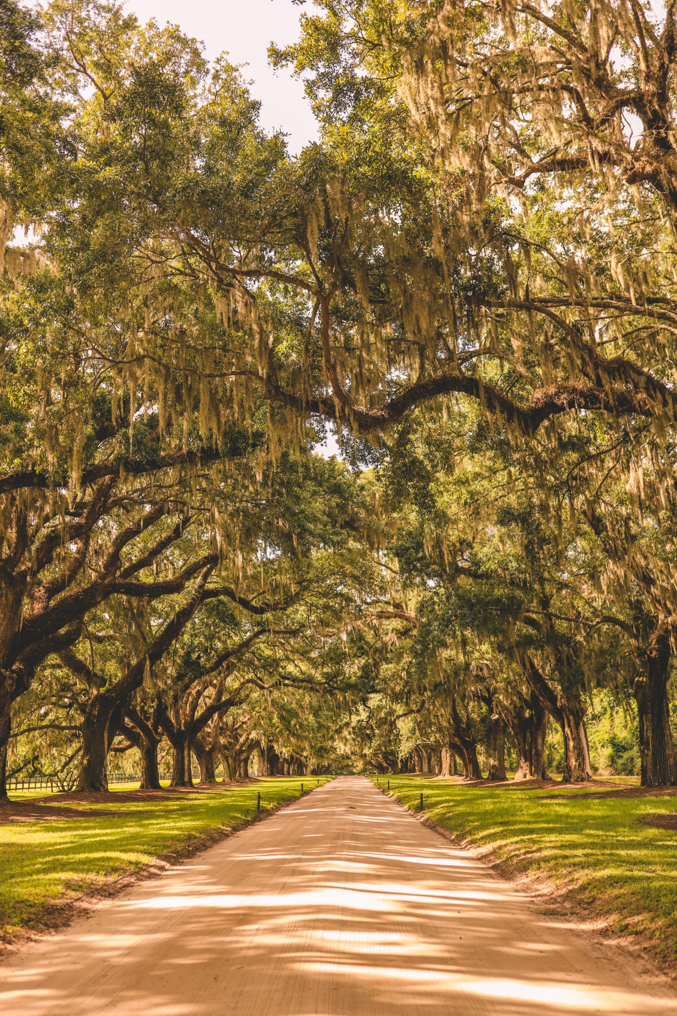 Boone Hall Plantation: The Best Plantation Tour in Charleston