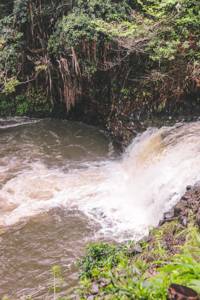 9 of the Best Waterfalls in Maui | Twin Falls #simplywander #maui #hawaii #twinfalls
