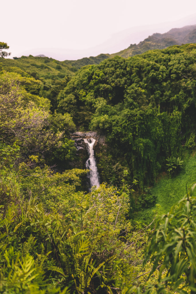 Pipiwai Trail: The best waterfall hike in Maui Hawaii | Makahiku Falls #simplywander #pipiwaitrail #makahikufalls